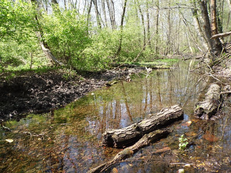 Parco del ticino 14.4.13